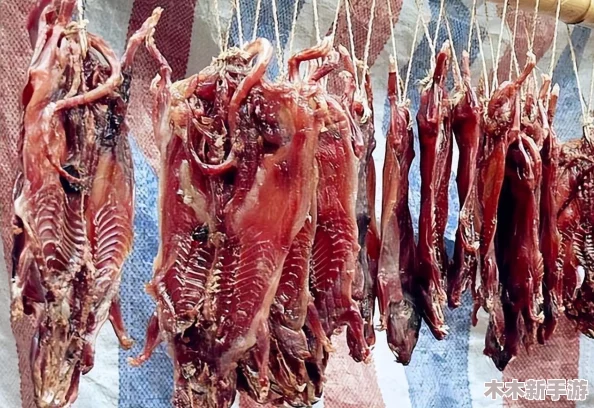 福建大菠萝导航键：畅游美食与风景的完美指南，带你领略不一样的福建之旅