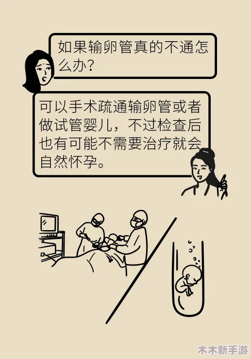 男生和女生萝卜碰萝卜：理解性别间的互动与沟通方式的重要性