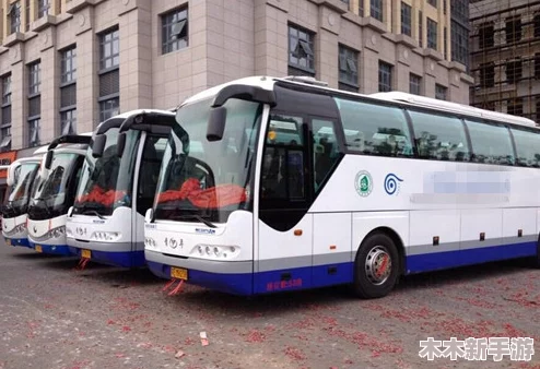 孟若羽tm00080大巴车，舒适乘坐体验，旅行的理想选择，带你开启精彩旅程！