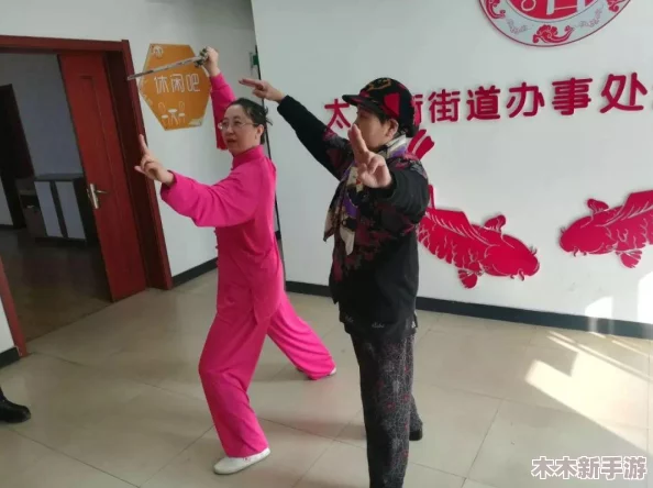 沈阳阿姨巅峰：独一无二的魅力与生活智慧，展现出她们的非凡风采与人生故事