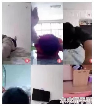 真人实拍初破www免费，展现真实场景与精彩瞬间，让你感受前所未有的视觉冲击与震撼体验