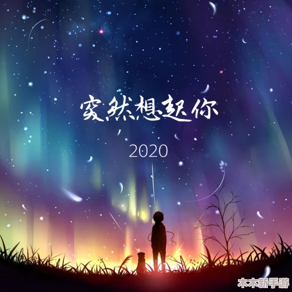 法国空姐2019满天星法版：星辉照耀，绚丽星空下的浪漫旅程与梦想飞翔
