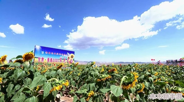 葵花宝典十八岁立刻离开萱草花，寻找生活中的幸福与快乐人生之旅