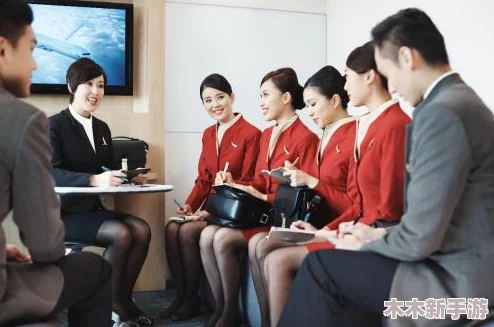 法国空乘2023：用户评价揭示服务质量与飞行体验的真实感受
