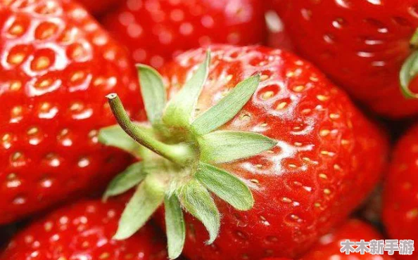 草莓视频18：用户评价热议，画质清晰、内容丰富，深受年轻人喜爱！