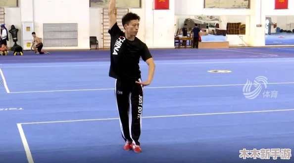 从零入门中国功夫：掌握技巧与心法，探索武术修炼之路