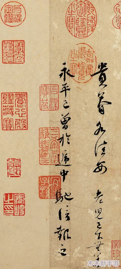 韩国大尺牍无打码，用户评价：画面精美、剧情紧凑，让人欲罢不能的视觉盛宴！
