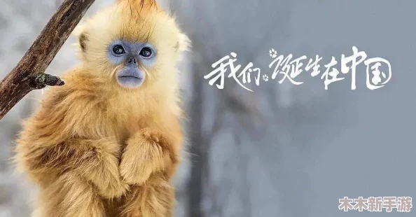 黑瞎子打开小花生腔，带你领略大自然神奇的动物世界与萌趣瞬间