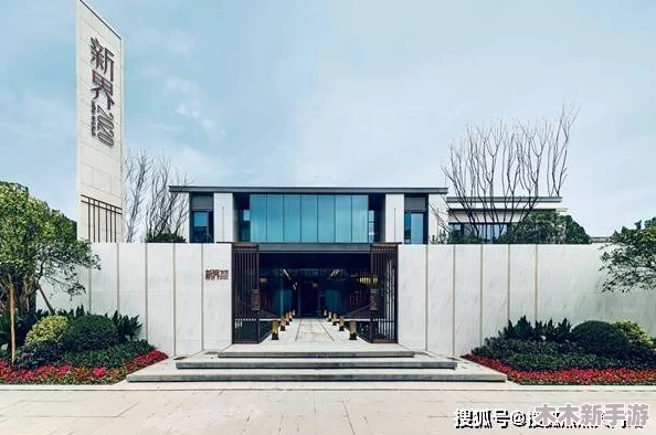 麻豆入口：深入了解其背后的故事与发展历程