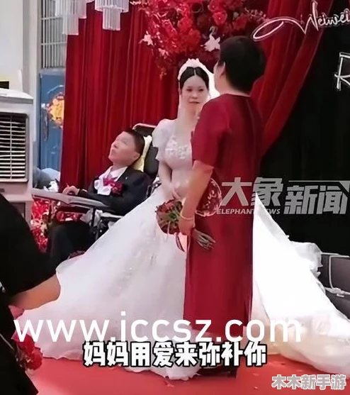 白丝女仆被理解 免费视频，展现了独特的角色魅力与情感深度，让人沉浸其中