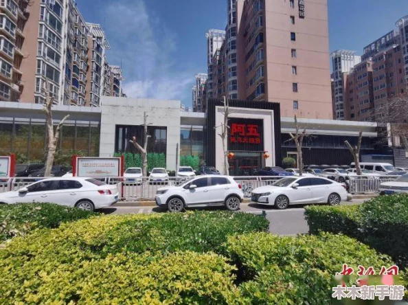 大象传媒2024年隐藏人口，网友热议：这背后到底有什么不为人知的真相？是否会影响我们的生活和政策？