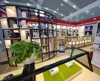 美女网站黄：用户评价揭示真实体验与使用感受，值得一看！