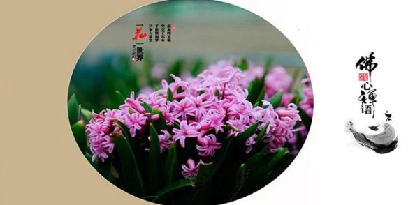 老公生日3q花落归途，网友评论：这标题真有诗意，感觉像是在讲述一段温暖的故事，让人期待更多细节！