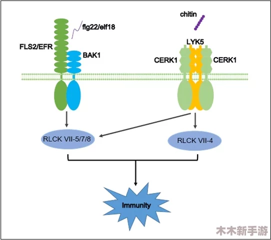 对＂xvdeios＂的深刻理解与分析：揭示其在现代文化中的重要性及影响力，探讨其背后的意义和价值