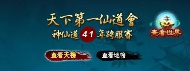 探索神仙道仙道会：玩家需达多少级方可参与下注活动？