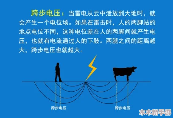 雷电将军被爆 羞羞网站：深入理解其背后的文化现象与影响力分析