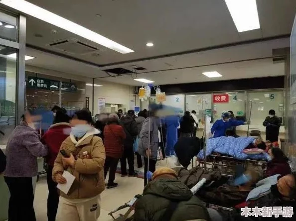 特殊的急诊室待遇2：深入了解在紧急情况下患者所获得的独特医疗服务与关怀体验，揭示其背后的运作机制与人性化管理