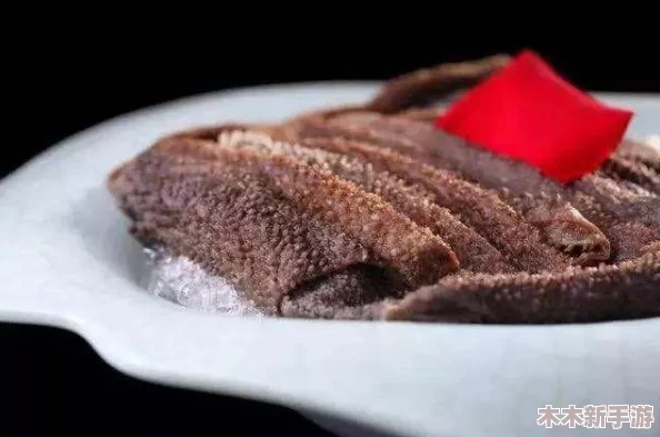 热血江湖中，哪款狼造型角色更吸睛？炫酷与霸气大比拼！