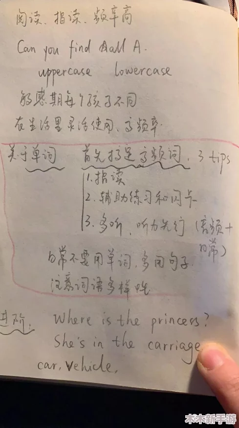 坐在教授的棒棒上背单词双楠，理解语言学习中的乐趣与挑战