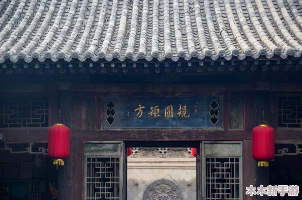 男女上下供：用户评价揭示了这款产品的真实效果与使用体验，值得一试！