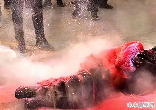 马和人是怎么玩的？一场充满欢笑和激情的互动体验，让你感受无限乐趣与友谊的旅程