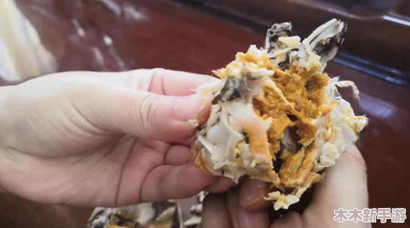 调菊花眼再放生姜，用户评价：效果显著，缓解疲劳，让我焕然一新！