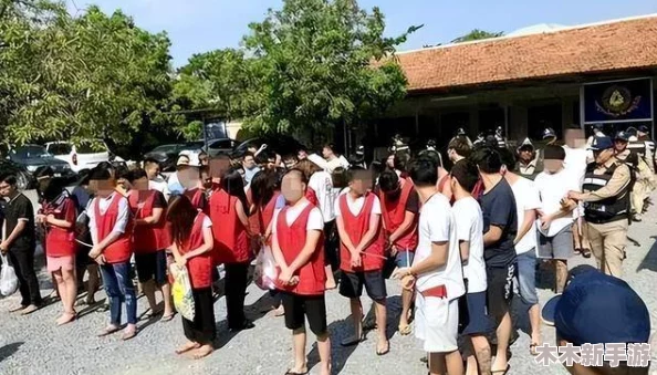 缅北磨豆浆是什么刑法？深入解析其背后法律与社会影响