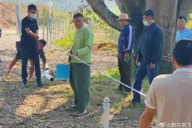 缅北磨豆浆是什么刑法？深入解析其背后法律与社会影响