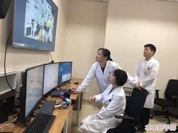 理解男女上下120的深层含义与社会影响，探讨性别关系中的权力动态与平衡问题