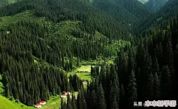 精东影视：超丰富内容与高清画质的完美结合，让您享受无与伦比的观影体验