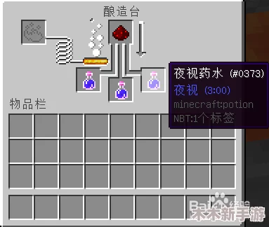 《我的世界》玩家必备：详尽夜视药水制作步骤与技巧指南