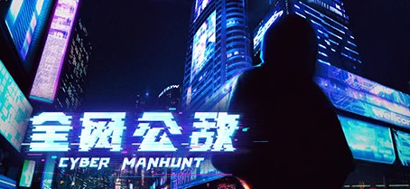 《无处遁形：全网公敌》售价大公开，全面解析游戏价格与市场定位