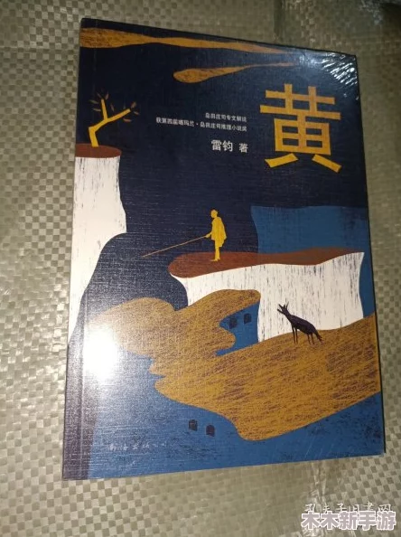 黄游：饱含智慧，引人深思的一场探索之旅