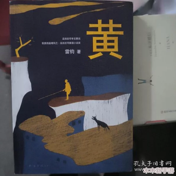 黄游：饱含智慧，引人深思的一场探索之旅