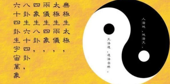 一眼千年,洞察玄机：综合一和综合二图片区别在哪？解密视觉迷局的关键之门