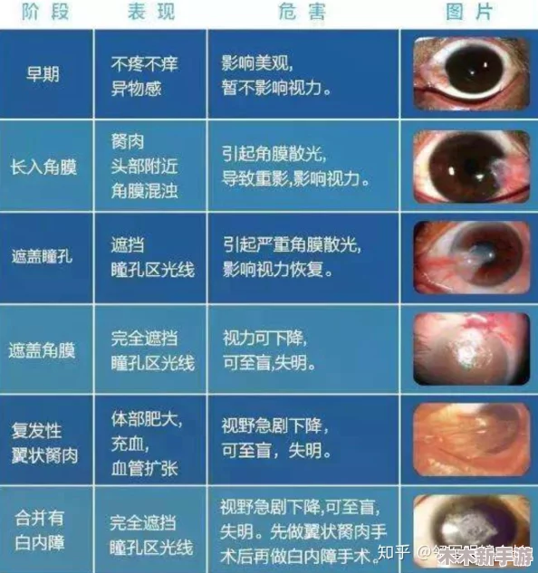 关于＂超级胬肉系统第二部叫什么＂的详细解读与分析