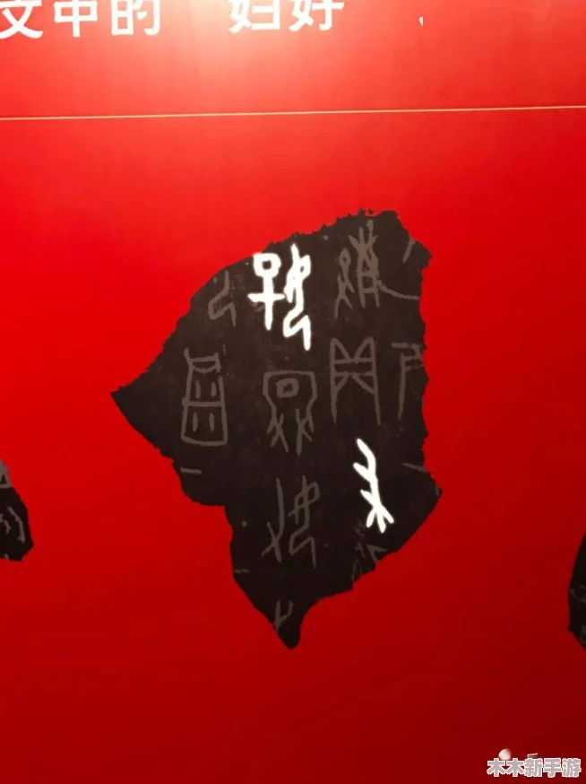 铿锵锵锵免费观看两年半，百折不挠的坚持与追求