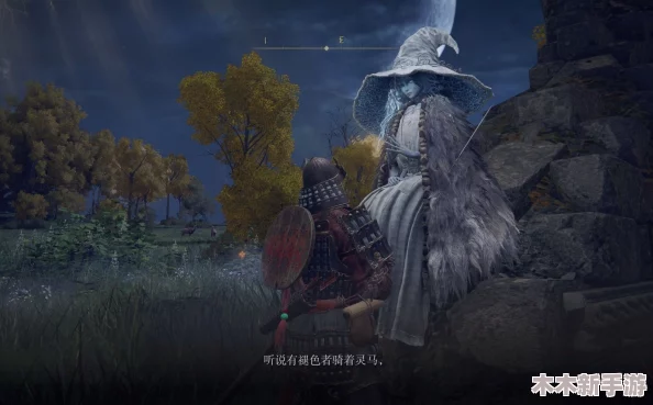 探索艾尔登法环：哪位伴侣角色最符合你的游戏情缘选择？