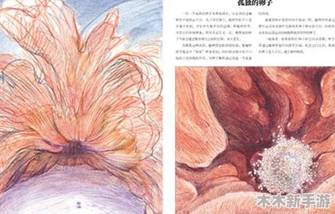 毛茸茸妇女体内汇编：奇妙的生物旅程与温暖的心灵碰撞