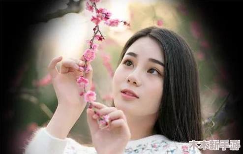 白洁赵敏张倩：用户评价揭示她们在情感与职场中的真实表现与影响力