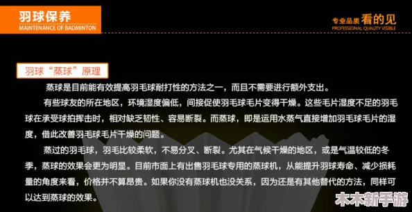 精准洞察：运用眼神捕捉敌特道具，揭秘隐藏线索以智取关卡胜利之道