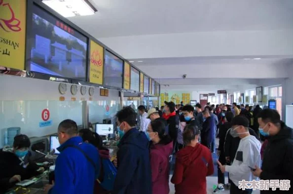 检票员用b检票按尺寸上车，理解这一过程对乘客顺利登车的重要性与影响