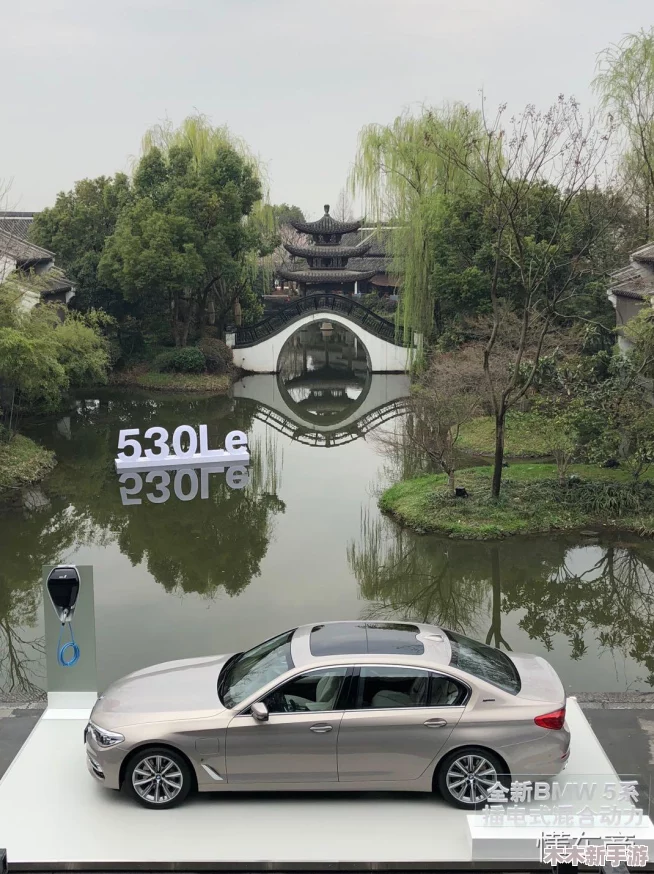 《双生怨第二章》详尽策略手册：掌握通关秘诀，解锁全章节隐藏要素与剧情走向