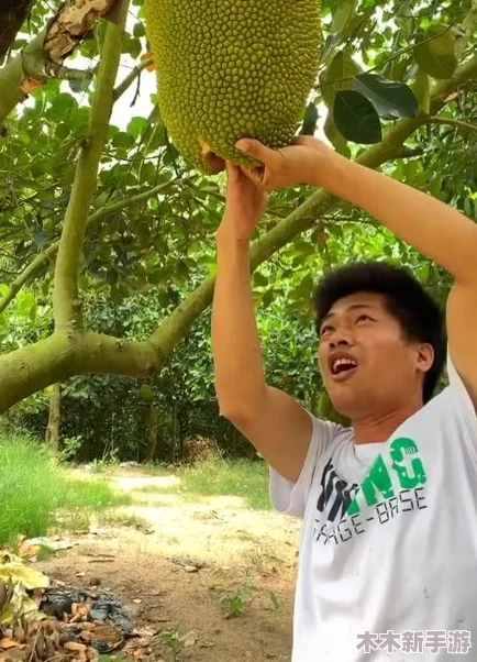 菠萝蜜视频在线观看：用户评价热烈，内容丰富多样，值得一看！