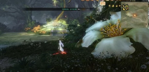 《逆水寒》长生观二期探秘：寻觅花舞流萤宝箱的隐藏位置