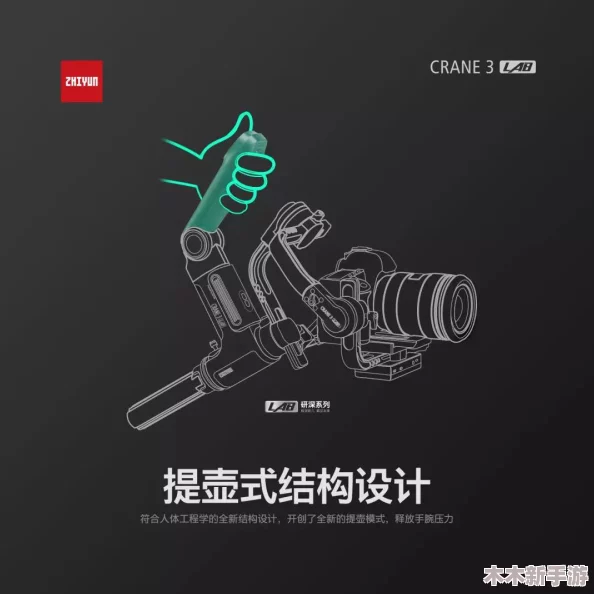 精准眼力大挑战：全面攻略助你高效清除所有苍蝇，轻松通关无阻！