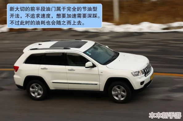 桃红色jeep界人口的功能介绍：深入理解其独特设计与实用性特点
