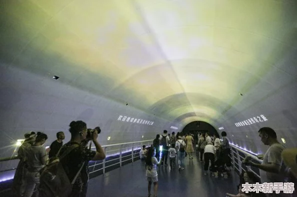 触手货车：深海奇幻之旅，带你领略未知世界的神秘与刺激