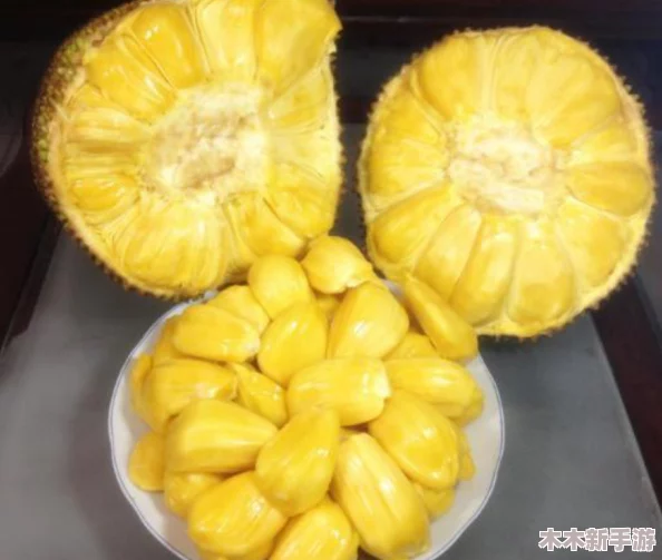 菠萝蜜视频在线观看：深入理解这一独特水果的魅力与营养价值