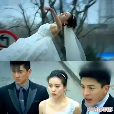 特色航班满天星免费服务详解：如何享受独特空中体验